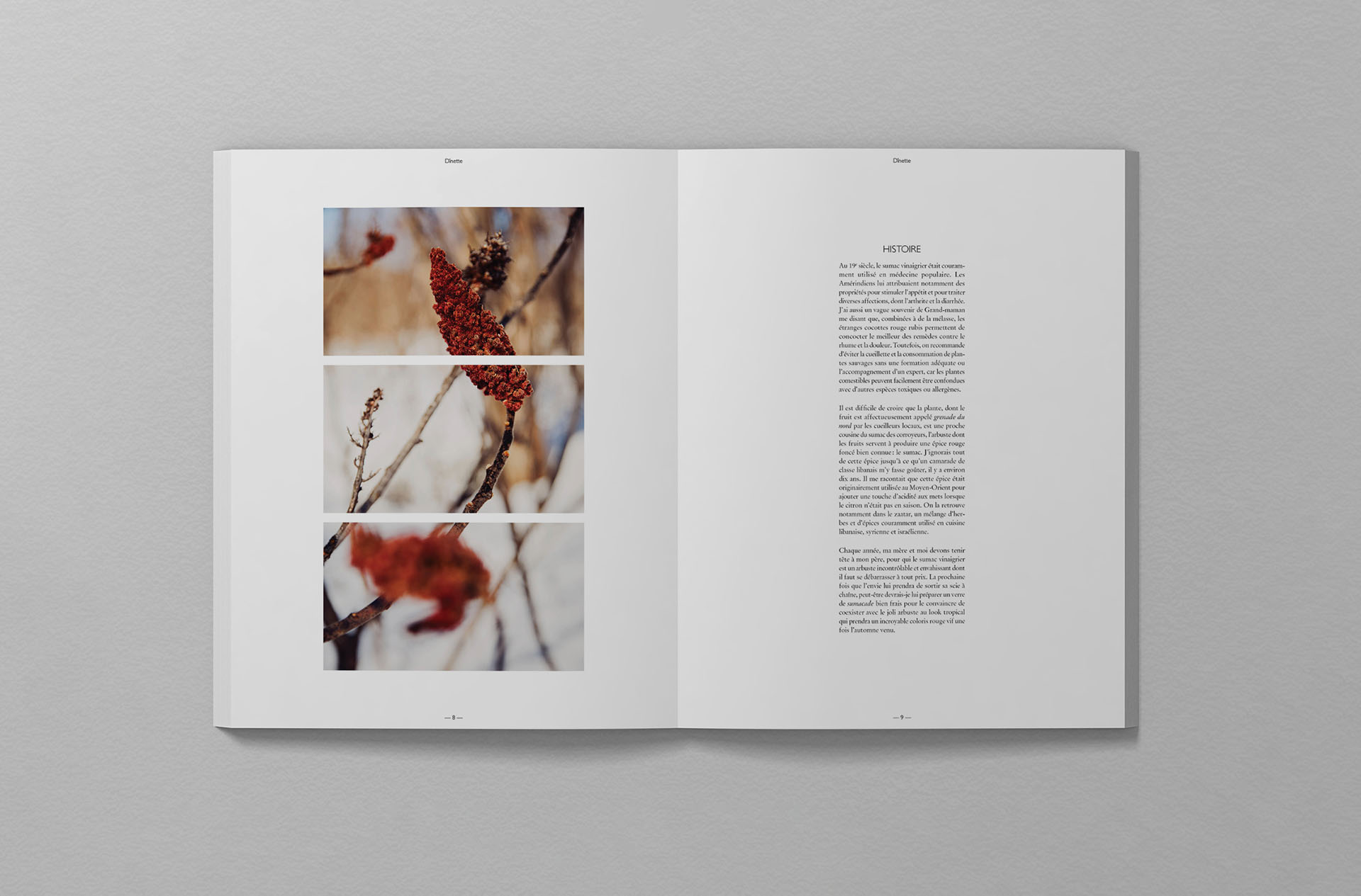 dinette_behance2Artboard 4